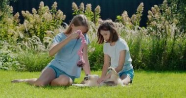 İki genç, evin arka bahçesinde Golden Retriever köpeğiyle oynuyorlar. Birlikte iyi vakit geçirin..