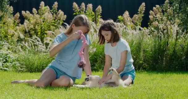 Két Tinédzser Játszik Egy Golden Retriever Kiskutyával Ház Hátsó Udvarában — Stock videók