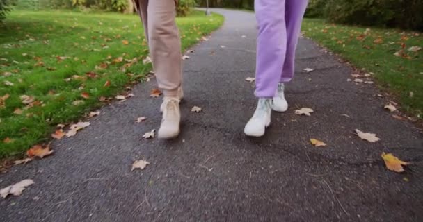 Két Sétál Ösvényen Őszi Parkban Egymás Mellett Sétálnak Csak Lábak — Stock videók