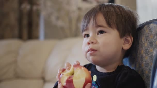 Asyalı Çocuk Büyük Kırmızı Bir Elma Yer Beslenme Sandalyesine Oturur — Stok video