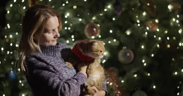 Portrét Ženy Červenou Kočkou Rukou Pozadí Vánočního Stromku Kočka Jezdí — Stock video