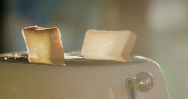 Погрузите Два Ломтика Хлеба Тостер Завтрак — стоковое видео