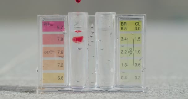 Phレベルに対する水のテスト 試験管に化学試薬を添加する ビデオ — ストック動画