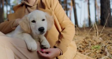 Tatlı orta yaşlı bir kadın Golden Retriever köpeğiyle ormanda rahatlıyor..