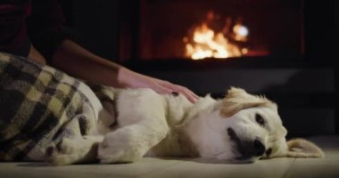 Kadın ve tatlı Golden Retriever köpeği yanan şöminenin yanında dinleniyorlar..