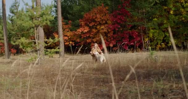 Žena Kráčí Psem Malebném Podzimním Lese Pozadí Žlutých Stromů Věčně — Stock video