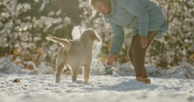 Orta yaşlı kadın kış parkında eğleniyor Golden Retriever köpeğine kar atıyor. 4k ağır çekim videosu
