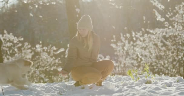 Νεαρή Γυναίκα Που Περπατάει Ένα Σκύλο Ένα Χειμερινό Πάρκο — Αρχείο Βίντεο