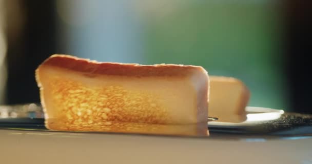 Dois Deliciosos Pedaços Pão Torrado Saem Torradeira Lit Pelo Sol — Vídeo de Stock