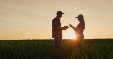 İki çiftçi gün batımında bir buğday tarlasının arka planında iletişim kuruyor..
