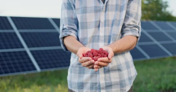 Çiftçilerin Elleri Arka Planda Bir Avuç Taze Ahududu Güneş Panelleri — Stok video