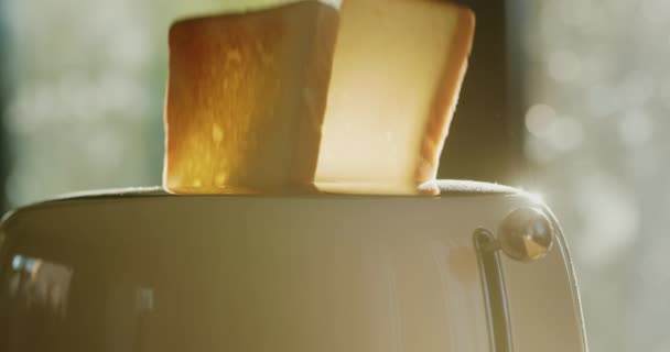 Два Куска Поджаренного Хлеба Выпрыгивают Тостера — стоковое видео