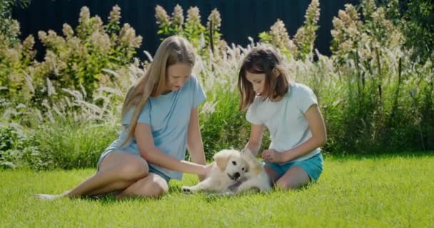 Crianças Brincam Com Cachorrinho Bonito Quintal Casa Sentado Gramado Verde — Vídeo de Stock