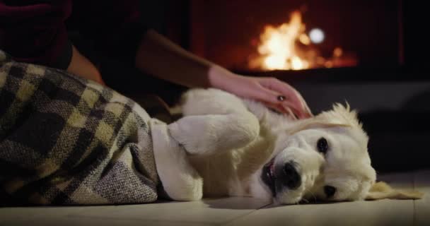 宠物主人和可爱的金毛猎犬躺在燃烧的壁炉边 — 图库视频影像