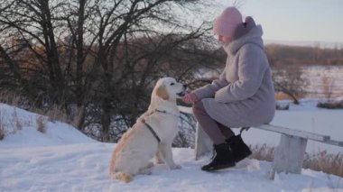 Golden Retriever 'la yürüyüşe çıkan bir kadın, evcil hayvana ikramda bulunur, karlı bir parkta bir bankta oturur..