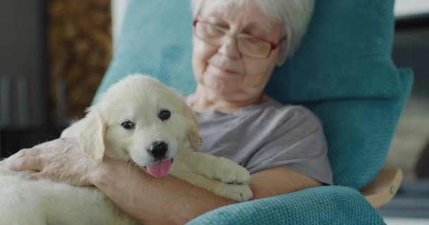 Una Donna Anziana Riposa Una Sedia Con Cucciolo Tra Braccia — Video Stock