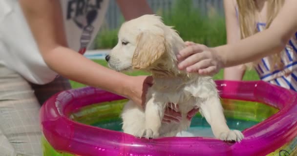 Moeder Dochter Baden Een Pluizige Puppy Een Klein Opblaasbaar Zwembad — Stockvideo
