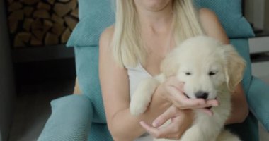 Bir kadın tatlı bir golden retriever köpeğiyle oynuyor, köpek yavrusu parmaklarını ısırıyor..