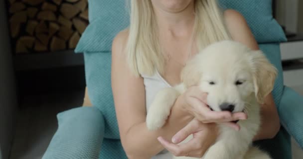 Woman Playing Cute Golden Retriever Puppy Puppy Biting Her Fingers — Stock Video