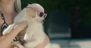 Bikinili bir kadın kollarında güneş gözlüklü sarışın bir köpek yavrusu tutuyor. Evcil hayvan konseptiyle yaz ve tatil.