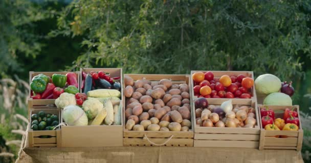 在农贸市场上有一个漂亮的蔬菜摊子 当地农民提供的健康食品 — 图库视频影像