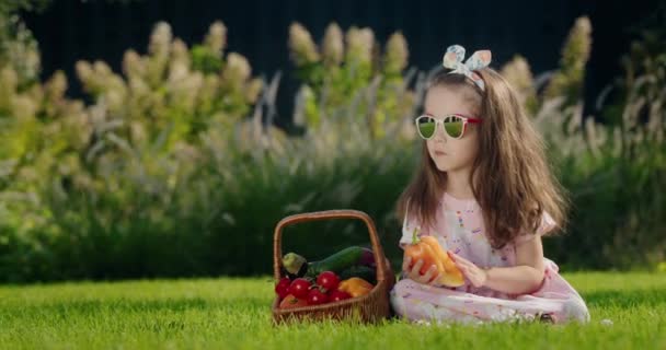 かわいい子供が野菜のバスケットの近くの芝生に座っています ピクニックコンセプト — ストック動画