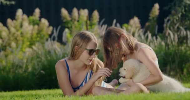 Children Play Puppy Backyard House Sitting Green Lawn — Stock Video