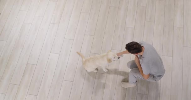 Ein Mann Trainiert Einen Golden Retriever Welpen Hund Gibt Besitzerin — Stockvideo