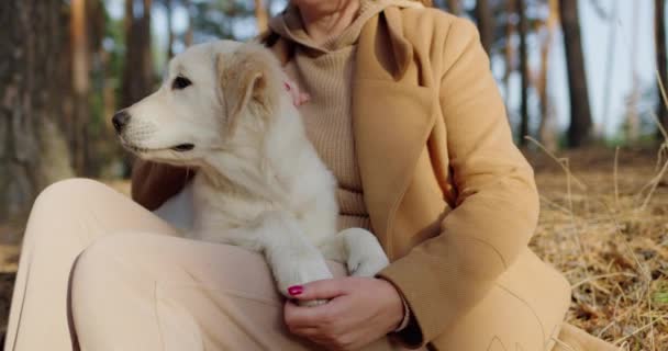 Carino Donna Mezza Età Rilassante Nella Foresta Con Cucciolo Golden — Video Stock
