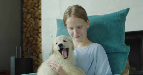 Adolescente Gioca Con Cucciolo Golden Retriever Siede Una Poltrona Vicino — Video Stock