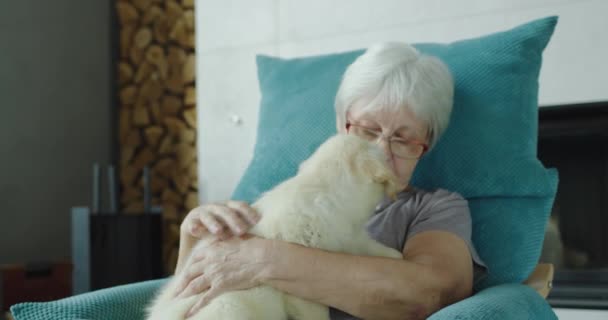 Una Donna Anziana Riposa Una Sedia Con Cucciolo Tra Braccia — Video Stock