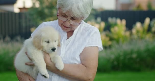 Ritratto Una Donna Anziana Con Cucciolo Golden Retriever — Video Stock