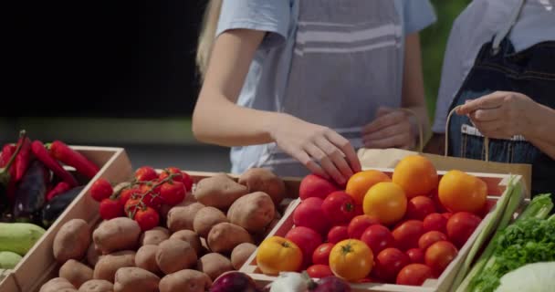 한여성과그녀의손녀가시장에서야채를팔았습니다 그들은토마토를종이봉지에넣었습니다 프레임에서 있습니다 — 비디오