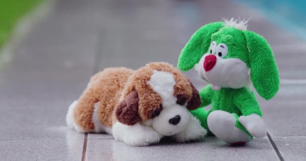 Дві Які Іграшки Зайця Цуценя Мокріють Під Дощем Задньому Дворі — стокове відео