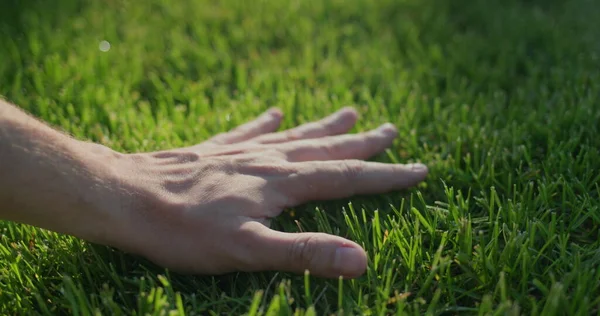 Hand Strepen Gelijkmatig Gemaaid Gras Het Gazon — Stockfoto