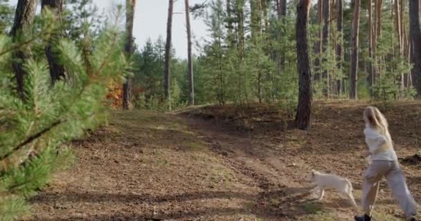 一个少女带着一只狗沿着松树林中的小路奔跑 — 图库视频影像