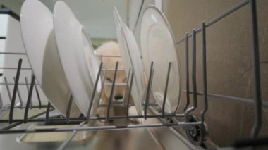 Golden Retriever köpek yavrusu bulaşık makinesinden artıkları yer ve yalar.