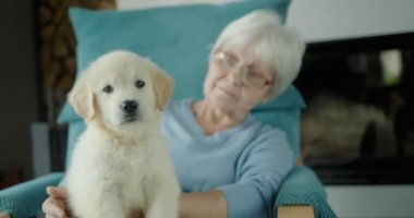 Sevimli yaşlı bir kadın kucağında bir köpek yavrusuyla bir sandalyede dinleniyor. Yaşlılığı ve refahı sağlama al..