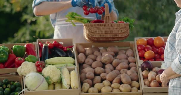 Vendeur Donne Panier Légumes Aux Mains Des Acheteurs — Video