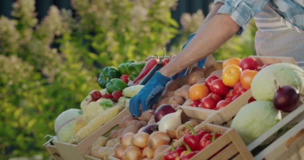 Prodavač Rukavicích Zařizuje Sezónní Zeleninu Farmářské Tržnici — Stock video