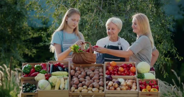 Een Familie Van Boeren Toonbank Van Een Landbouwbeurs Lokale Groenten — Stockvideo