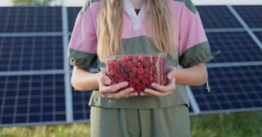 A farmer holds a plastic container with fresh raspberries. The panels of the solar power plant can be seen in the background