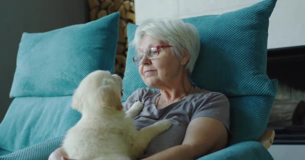 Egy Idős Egy Székben Pihen Egy Kiskutyával Karjában Otthoni Kényelem — Stock videók
