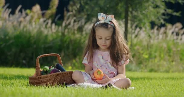 Urocze Dziecko Siedzi Trawniku Pobliżu Kosza Warzyw Koncepcja Pikniku — Wideo stockowe
