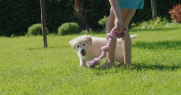 Kind Heeft Plezier Met Een Pup Achtertuin Van Het Huis — Stockvideo