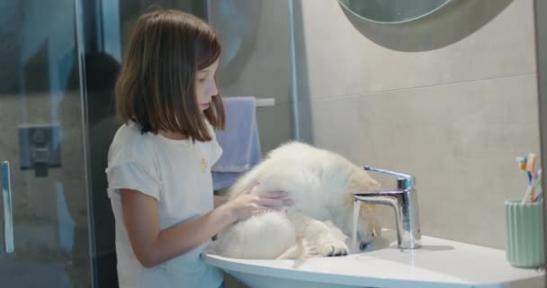Dziecko Kąpie Szczeniaka Umywalce Niegrzeczny Szczeniak Pije Wodę Kranu — Wideo stockowe