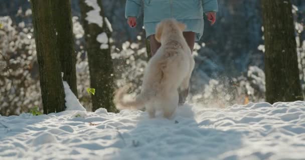 Γυναίκα Τρέχει Στο Χιόνι Σκυλί Της Έχοντας Μια Καλή Στιγμή — Αρχείο Βίντεο
