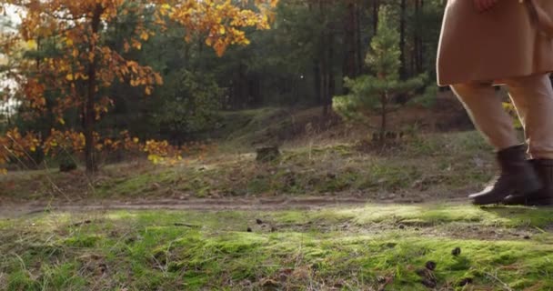 Une Femme Promène Avec Chien Dans Forêt Automne Une Vue — Video