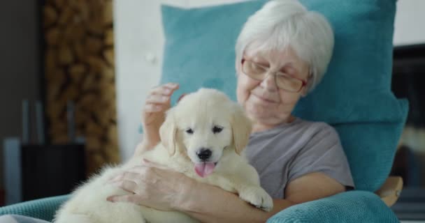 Starší Žena Odpočívá Křesle Štěnětem Náručí Domácí Pohodlí Bezpečné Stáří — Stock video