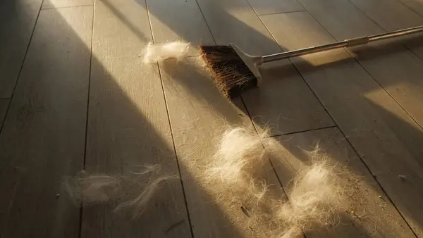 Sweeping Brush and Pet Fur: Clean-up Essentials.